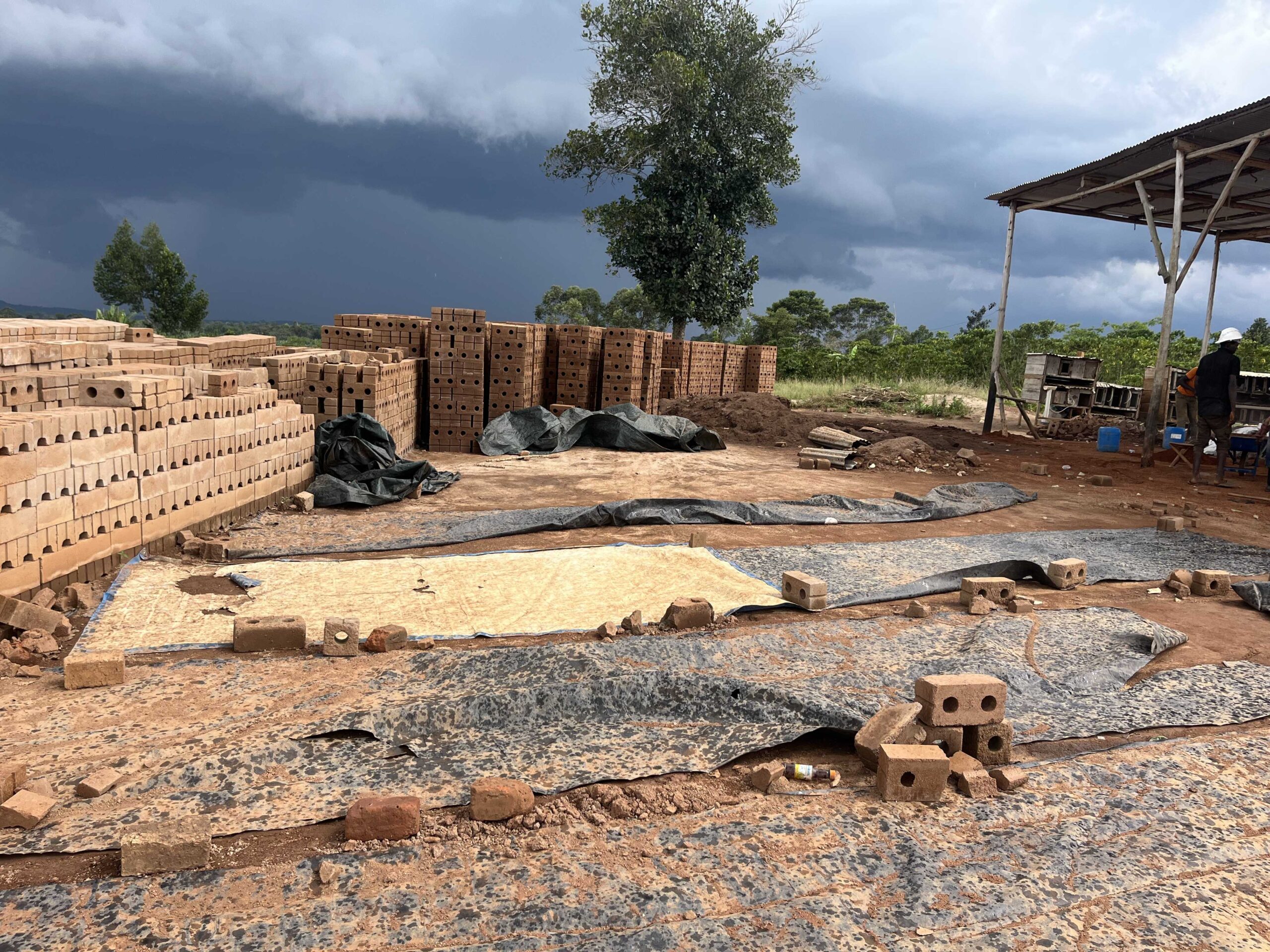 A residential area featuring modern, flat-roofed houses with large windows and solar panels. The homes are surrounded by trees and partially obscured by foliage. In the background, an urban skyline is visible under an overcast sky.
