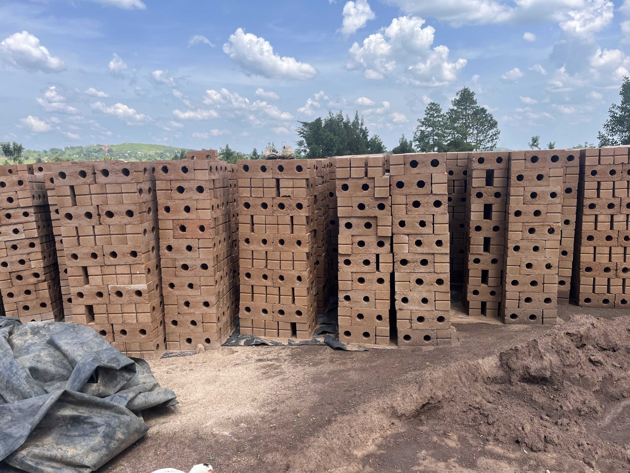 Several houses with red roofs are nestled among a dense collection of trees on a hillside. The architecture features simple, modern designs with considerable greenery surrounding each building. Tall evergreen trees tower over the houses, adding to the lush landscape.